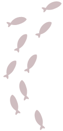 魚_装飾